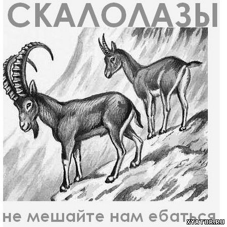 Агитплакат: не мешайте нам ебаться!