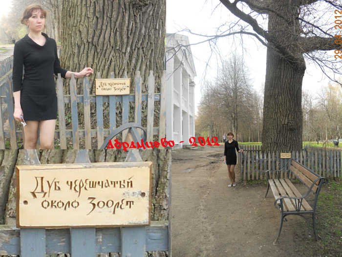 Музей-усадьба Абрамцево