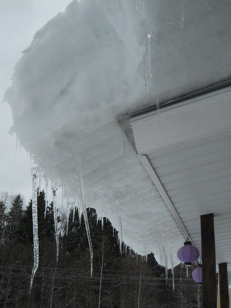 Бразервиль-2012