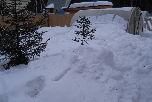 Бразервиль-2012