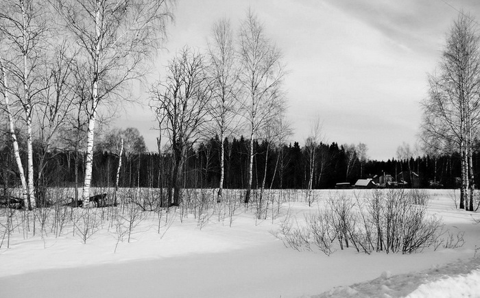 Бразервиль