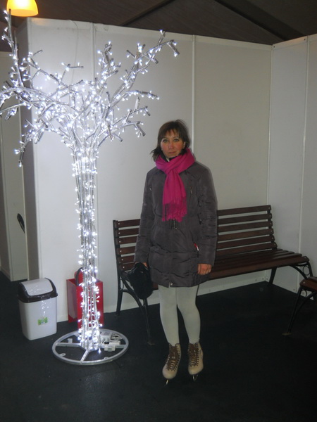 Бесплатный каток в Сокольниках